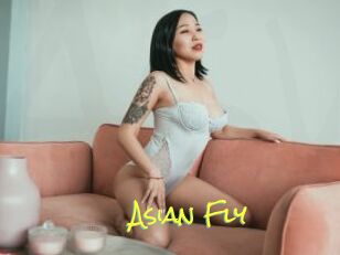 Asian_Fly