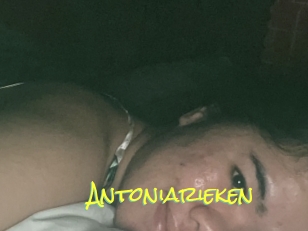 Antoniarieken