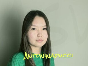 Antoninapucci