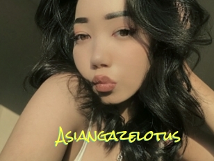 Asiangazelotus