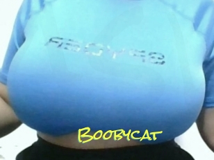 Boobycat