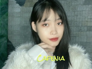 Cafenia
