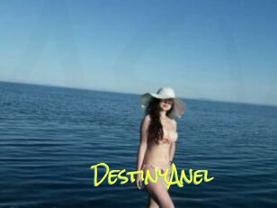 DestinyAnel