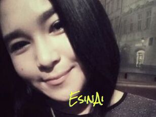 EsinAi