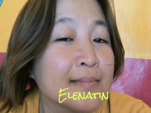 Elenatin