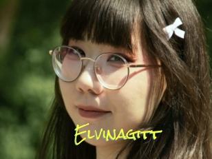 Elvinagitt