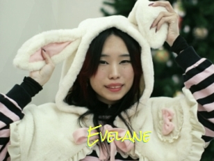 Evelane
