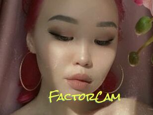FactorCam
