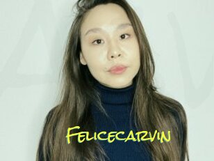 Felicecarvin