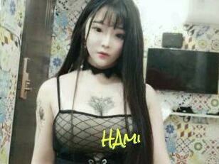 HAmi