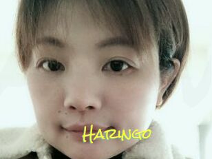 Haringo