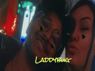Laddybug