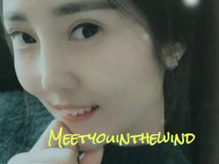 Meetyouinthewind