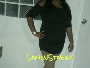SamenStoeien