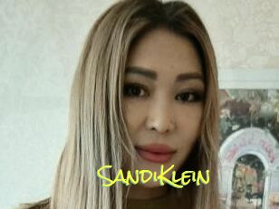 SandiKlein