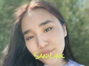 SaniLink