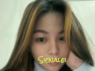 Sienalei