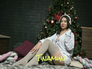 Tinamun