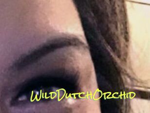 WildDutchOrchid