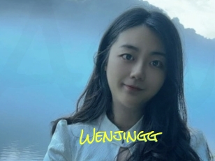 Wenjingg