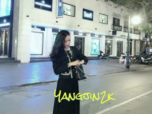 Yangjin2k